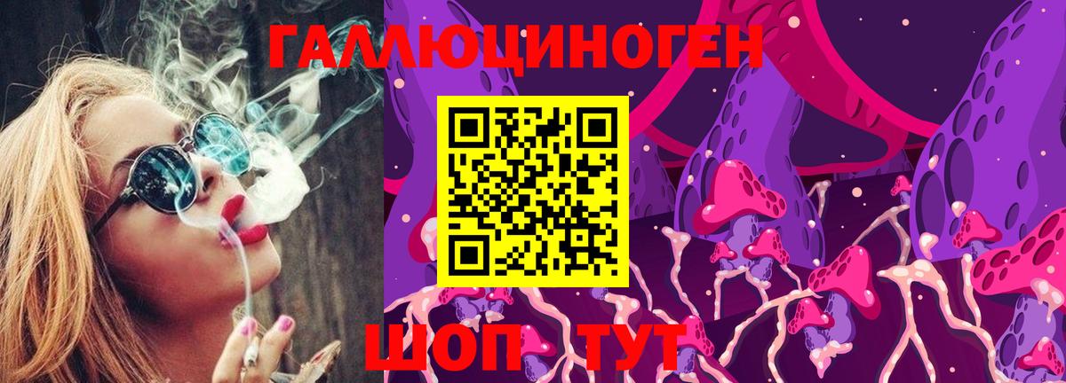 Шарыпово  наркотики  Вход с VPN  Псилоцибиновые грибы GOLDEN TEACHER 